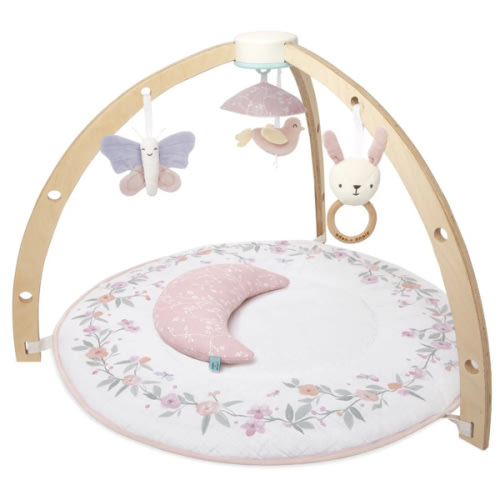 Baby Gym | Premium Baby Activity Gym | aden + anais