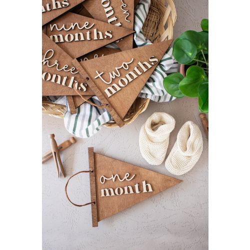 Baby Monthly Milestones | Personalized Gift | Engraved Wood Monthly Markers | Baby Shower Gift | Baby Milestones Cards | Birth Announcement