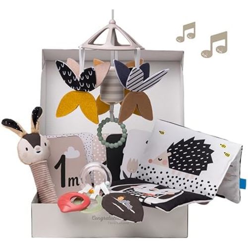 Taf Toys Black and White Newborn Kit - 10 Black and White Baby Toys, High Contrast Baby Toys for Newborn, Baby Essentials Must Haves, Tummy Time Toys for Motor Skills Infants Babies 0 3 6 Months