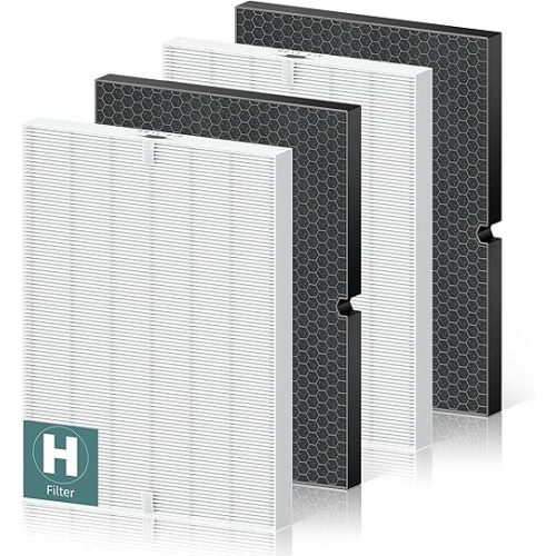 116130 Replacement Filter H for Winix 5500-2 AM80 Plasmawave Air Purifier, True HEPA Filter and Activated Carbon Filter Combo Pack, 2 Set