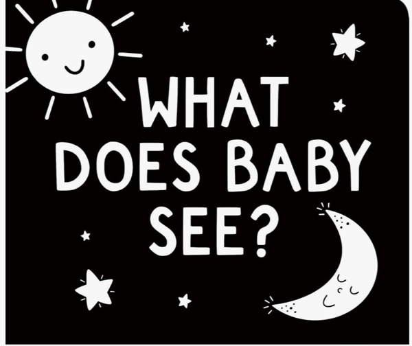 What Does Baby See? A High-Contrast Board Book (Padded Cover)