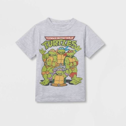 Toddler Boys' Teenage Mutant Ninja Solid T-Shirt - Gray 4T