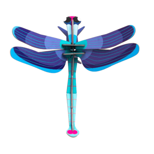 Sapphire Dragonfly - Studio ROOF