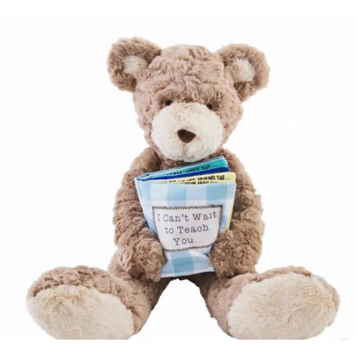 Big Brother Book and Bear | Madison...