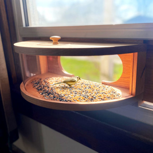 Coveside Panoramic InHouse Window Bird Feeder