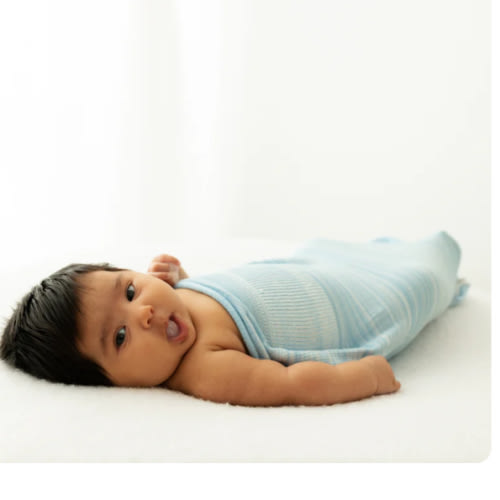 Blue Swaddle Sleep Sack – Swaddelini