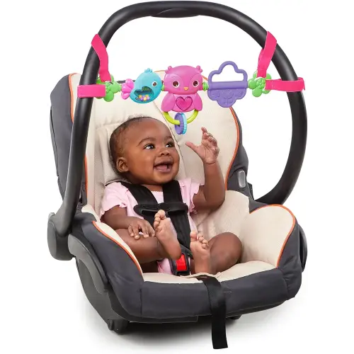 Bright Starts Busy Birdies Carrier Toy Bar Musical Take-Along Toy with Lights, Ages Newborn +, Pink
