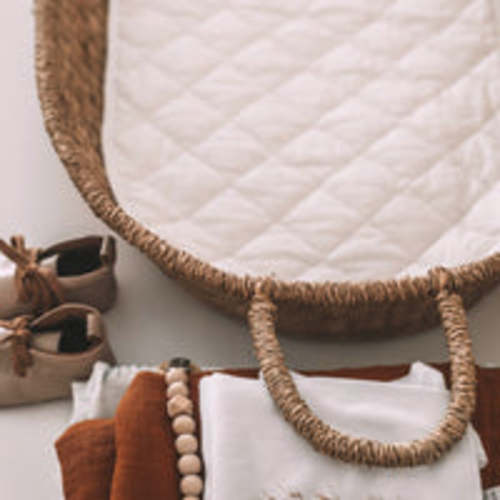 Organic Cotton Insert – Olli Ella USA