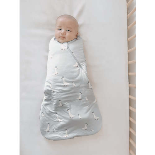 Swaddle Sleep Bag