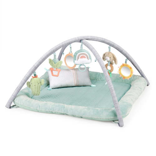 Ingenuity Calm Springs Plush Activity Baby Gym