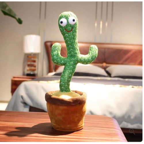 Spike the Cactus