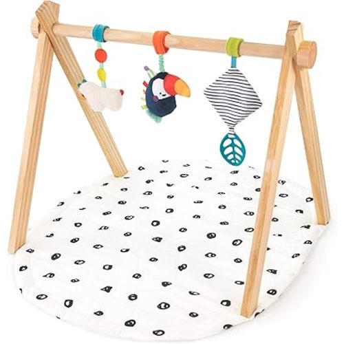 Sassy Eco Sproutin’ Safari Gym | Made Green | 0+ Months