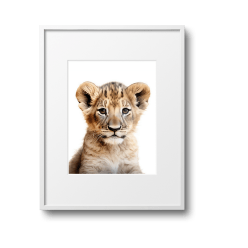 Baby Lion