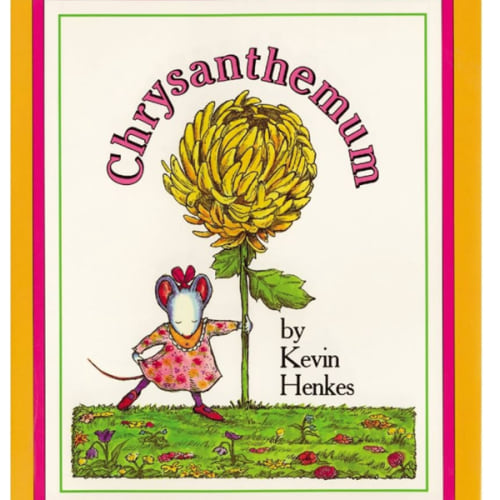Chrysanthemum