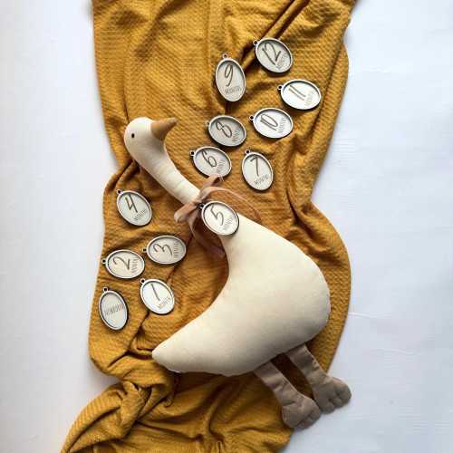 Baby Milestone Marker Boy and Girl Growth Tracker Plush Animal Toy Newborn Photoshoot Prop Goose Theme Nursery Decor Milestone Baby Sign