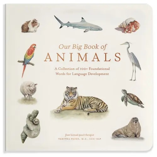 Our Big Book of Animals a book by Tabitha Paige and Paige Tate & Co. - Bookshop.org US