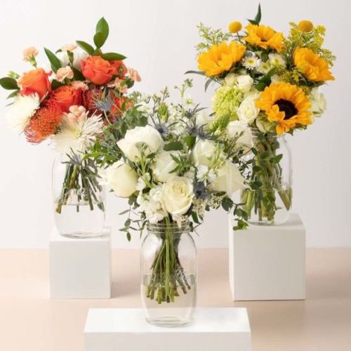 The Bouqs Co 3 Month Subscription