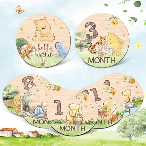 Winnie Bear Baby Month Milestone Circles, Wooden Discs Stuff for Baby Photo Takens with Hello World Name Signs - 7Pcs Double Sided Signs for Documenting Growth