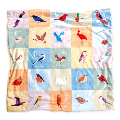 Baby Blanket: Bird Alphabet. Minky. Baby Gift. Owl. Eagle. Duck. Robin. Swan. Cardinal. Goose. Finch. Heron. Birds. Gender Neutral. Boy.