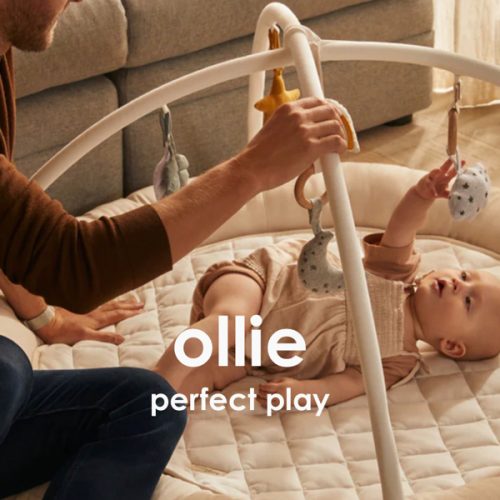 babybee OLLIE play gym
