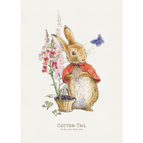 Peter Rabbit - Cotton Tail Illustration Poster