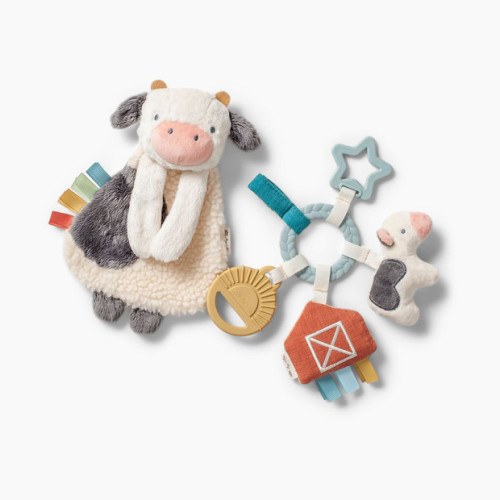 Plush Lovey & Teething Activity Toy Gift Set - Farm