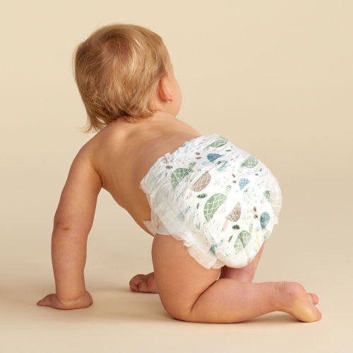 Honest Wetness Indicator Diapers - Plant-Based & Fragrance-Free | Honest
