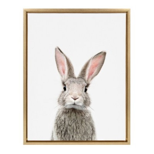 18" X 24" Sylvie Young Rabbit Framed Canvas By Amy Peterson Gold - Kate & Laurel All Things Decor