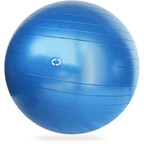 Circuit Gym Exercise Ball 65cm - Blue