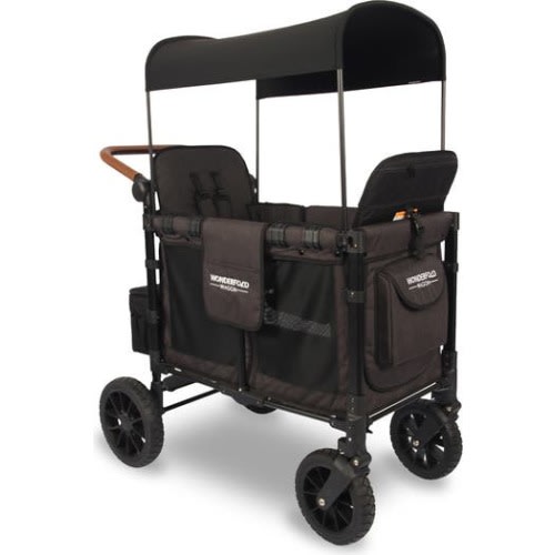 W2 Luxe 2-Passenger Multifunctional Stroller Wagon