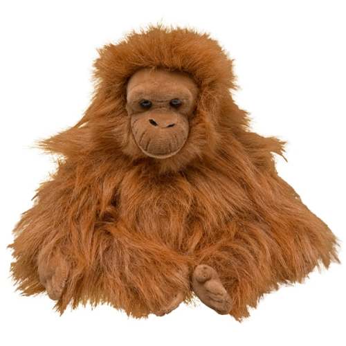 Adopt a Female Orangutan | Symbolic Adoptions from WWF
