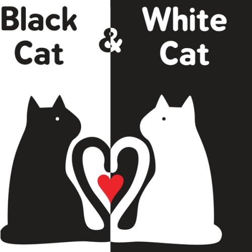 Black Cat & White Cat: A High Contrast Sensory Board Book About Opposites For Newborns and Babies