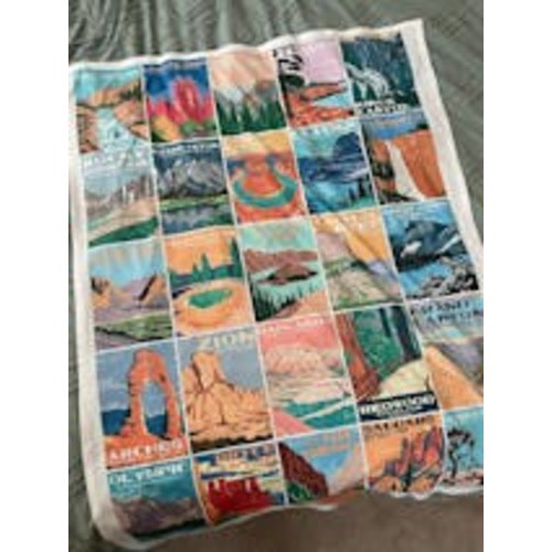 National Park Baby Swaddle and Minky Blanket