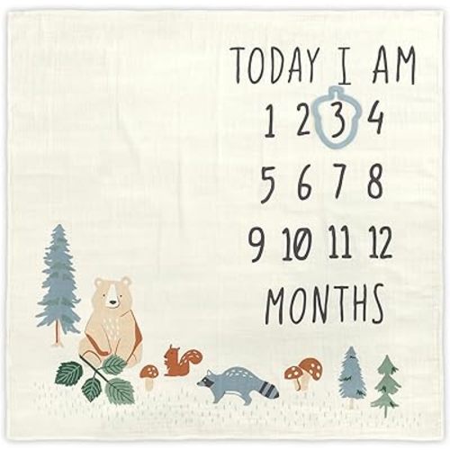 Modern Moments by Gerber Muslin Milestone Blanket with Felt Month Marker Frame