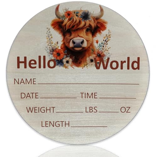 Hello World Newborn Sign Highland Cow Baby Name Birth Announcement Sign for Nursery Hospital Welcome Baby Name Plaque 6 inch Circle Birch Wood Board Birth Stat Sign Newborn Gifts for Mom