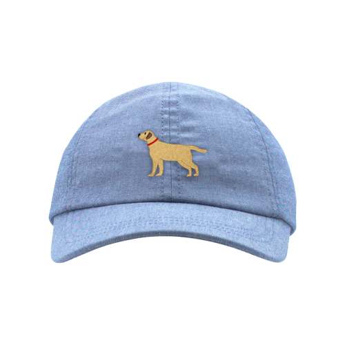Classic Ball Cap - Chambray Lab