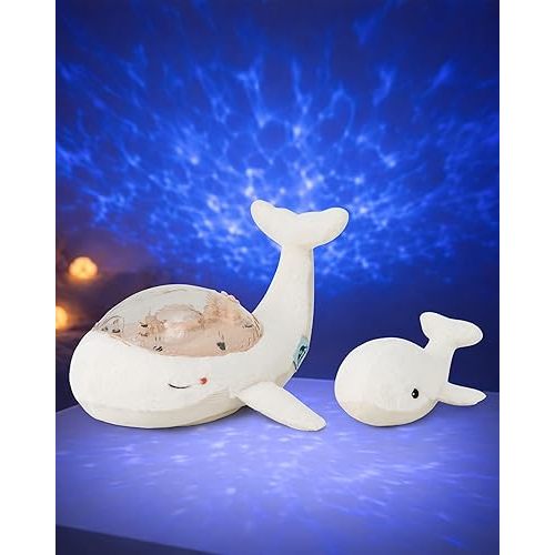 Cloud b Ocean Projector Nightlight with White Noise Soothing Sounds | Adjustable Settings and Auto-Shutoff | Tranquil Whale Family - White