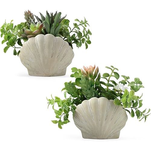 Fake Plants Set of 2, Assorted Faux Succulents Artificial Plants with Sea Shell Pots, Artificial Greenery in Coastal Beach Decor, Ocean Seashell Series for Home Bedroom Beach Theme Party