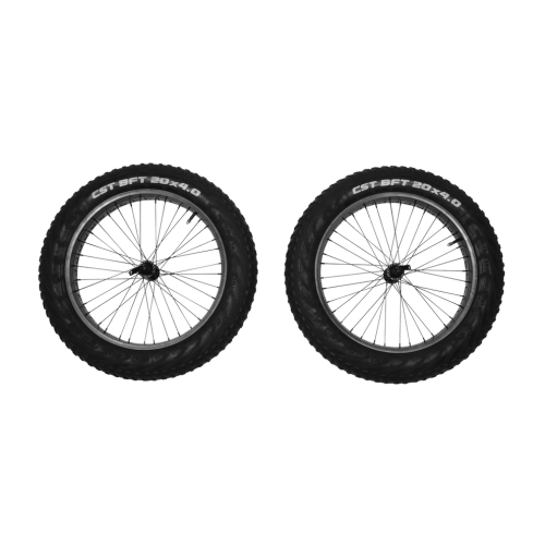 Reacha 20" fat tire wheel set