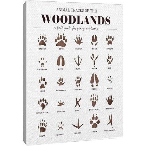 BRRNYOI Animal Tracks Educational Wall Art Decor Framed, Forest Nursery Decor, Animal Footprints Chart Canvas Prints Poster for Kids Bedroom Playroom Classroom Wall Decoration, 11x14 Inch