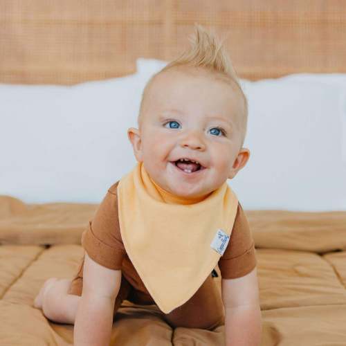 Baby Bandana Bibs - Bennie
