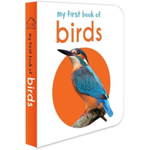 My First Book of Birds Board book – April 25, 2018