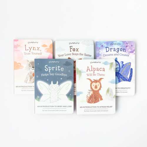 An Introduction To Resilience Book Set