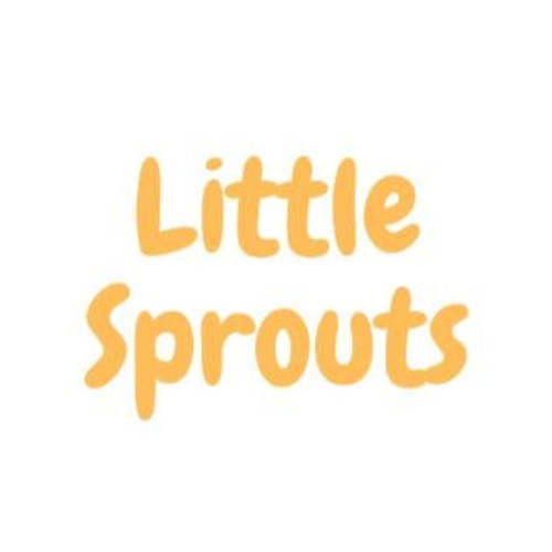 Ultimate Mommy Travel Bag – Little Sprouts