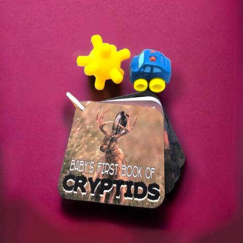 Baby's First Book Of Cryptids - humorous baby board book full colour - one of a kind baby gift