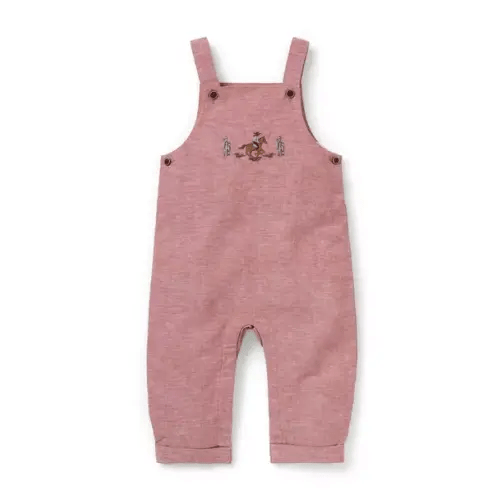 Baby Antique Brick Red Baby Cowboy Linen-Cotton Overall by Janie and Jack