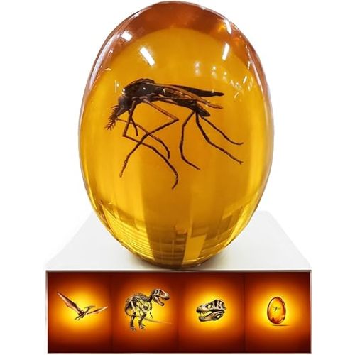 Jurassic Mosquito in Amber [2D-C] Durable Resin Encased Detailed 2D Insect Replica. Perfect for Collectors and Enthusiasts | Paperweight, Aged Effect, Desk Ornament