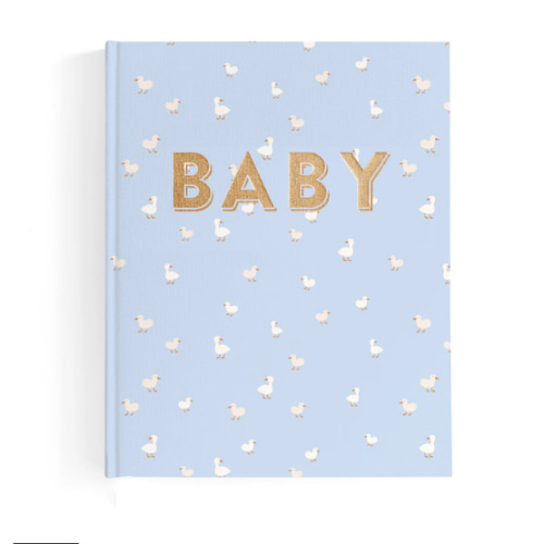 Baby Book Blue Ducks - 3rd Edition – Fox & Fallow