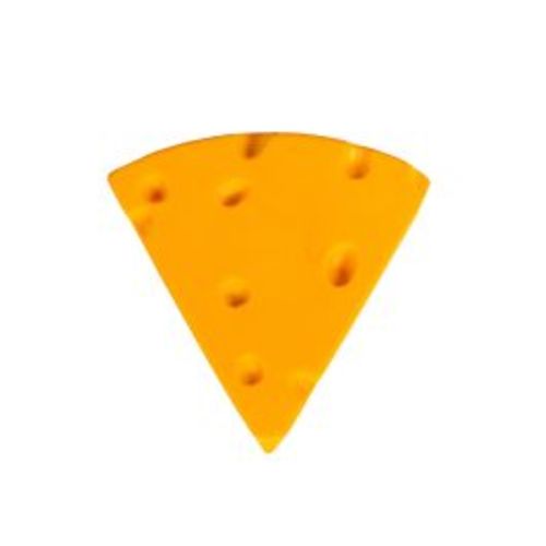 Original Baby Sized Cheesehead at the Packers Pro Shop