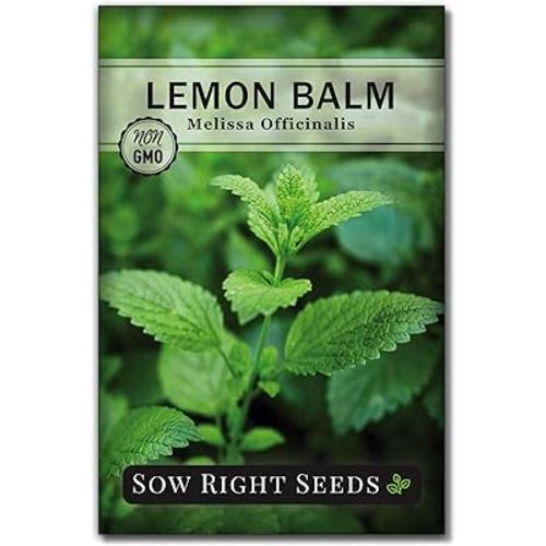 Sow Right Seeds - Lemon Balm Seeds for Planting - Non-GMO Heirloom Packet with Instructions - Easy to Grow Herb Garden - Aromatic Herb and Great for Herbal Teas - Perennial Mint Relative (1)